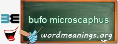 WordMeaning blackboard for bufo microscaphus